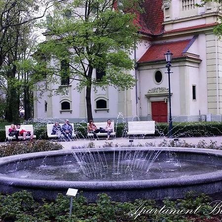 Bugenwilla Sopot