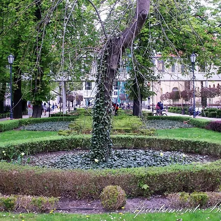 Bugenwilla ソポト